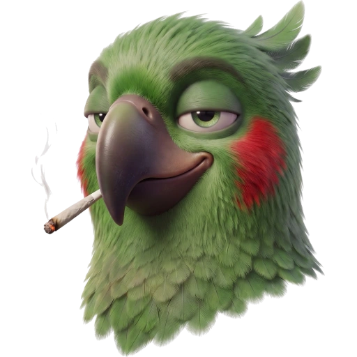 le gérant, perroquet vert, le joint au bec